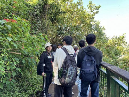 裝飾性圖片