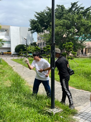 裝飾性圖片
