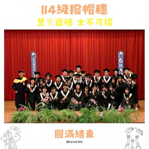 裝飾性圖片