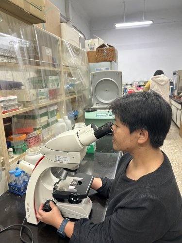 陳香吟